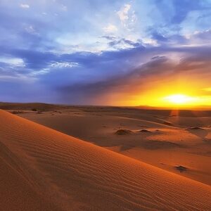 ترکینگ ریگ جن