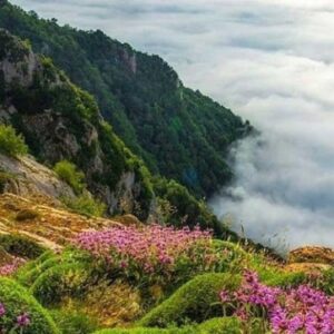 تور اوپرت - نارون اکوتور