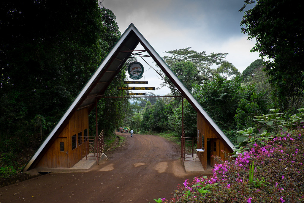 دروازه Mweka - نارون اکوتور