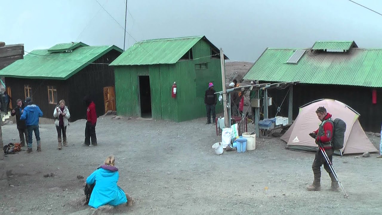 پناهگاه کیبو - نارون اکوتور