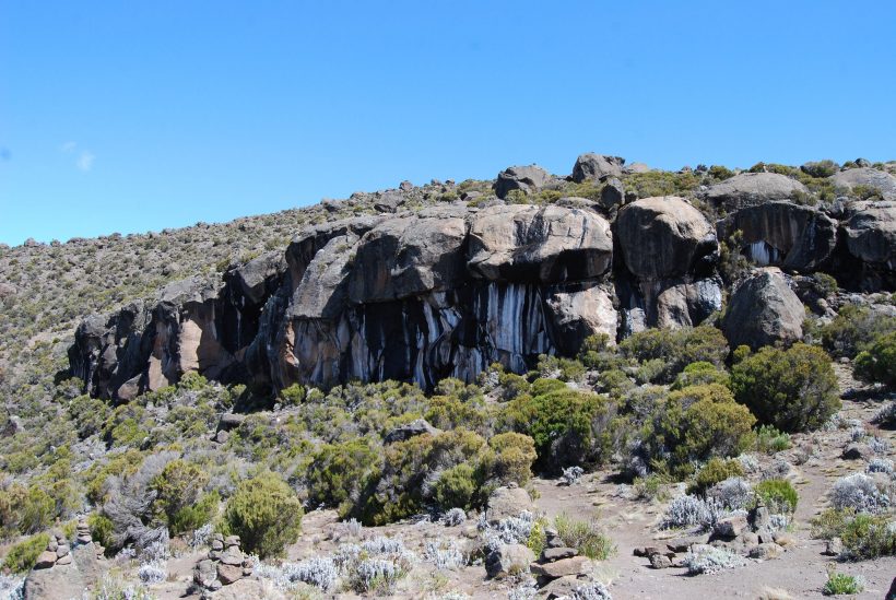 صخره های زبرا - نارون اکوتور