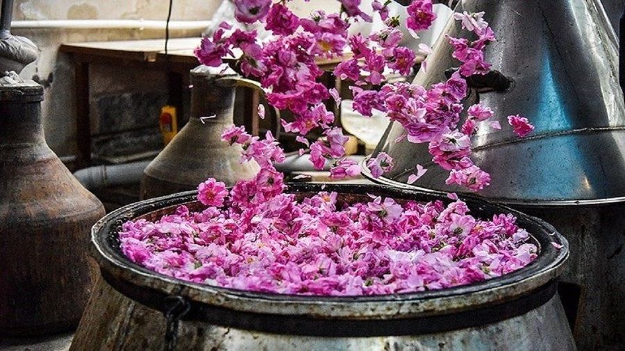تور کاشان - نارون