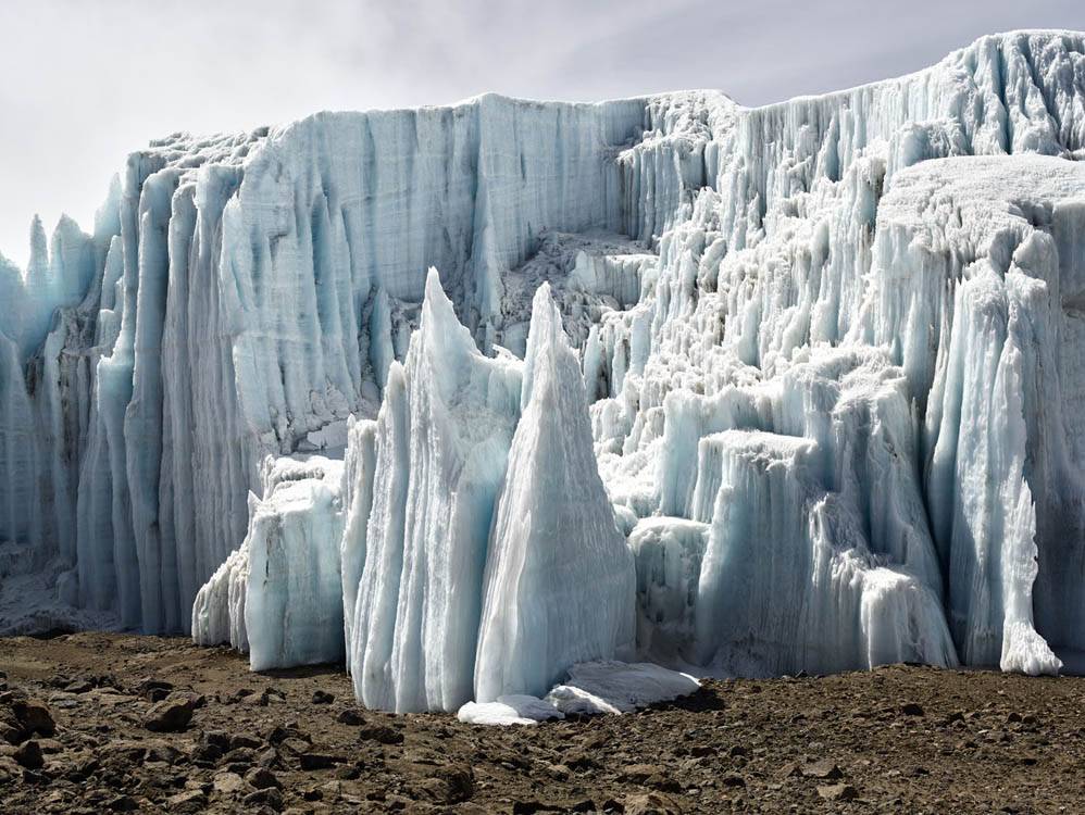 یخچال های طبیعی کلیمانجارو - نارون اکوتور