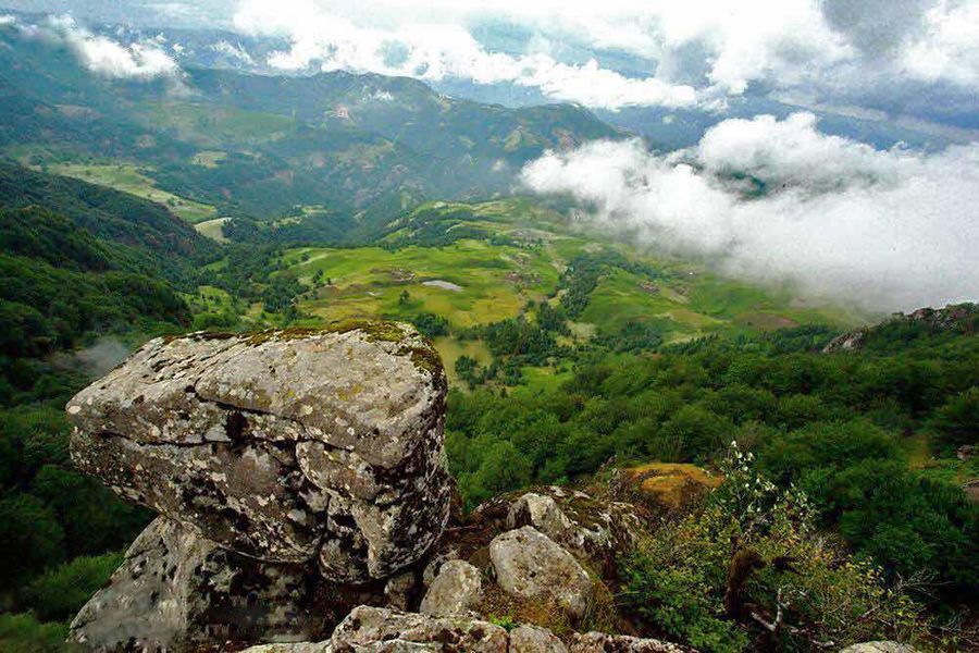 ترکینگ آلادیزگه به بهارستان - نارون