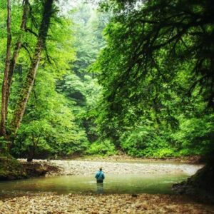 تصاویر تور پلنگ دره 1 - نارون اکوتور