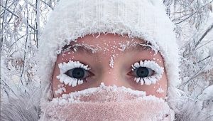 آب و هوای سیبری - نارون اکوتور