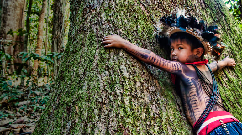 حفاظت از جنگل آمازون