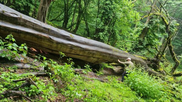 بهترین مسیرهای ترکینگ در ایران