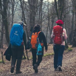 تور جنگل بلیران 6 دی