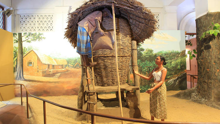 موزه ملی تاریخ طبیعی کلمبو