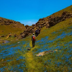 ترکینگ نئور به سوباتان خرداد 1404