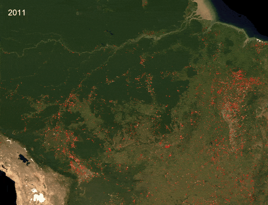 عکس ماهواره ای تخریب جنگل آمازون