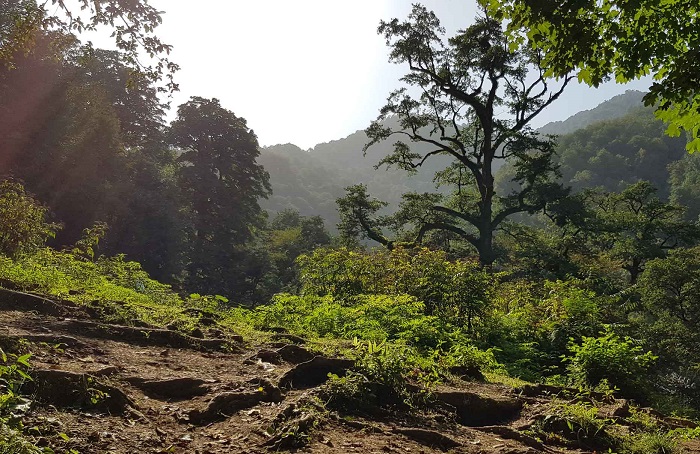 تصاویر ترکینگ آب بر به قلعه رودخان (2)