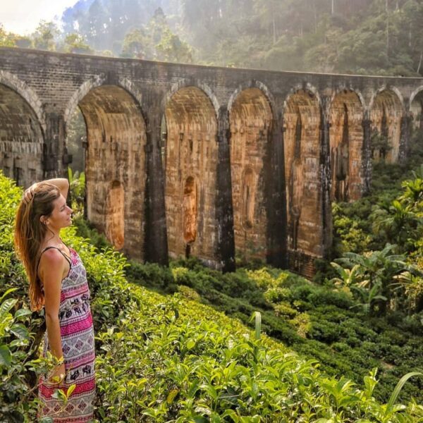 جاهای دیدنی الا در سریلانکا