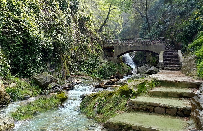 تصاویر تور جنگل های گلستان (4)