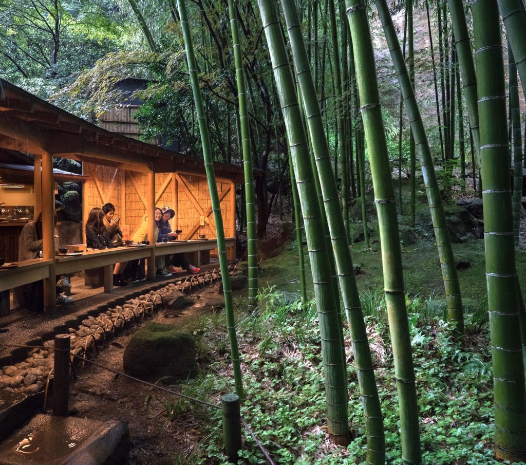 جنگل بامبو معبد هوکوکوجی