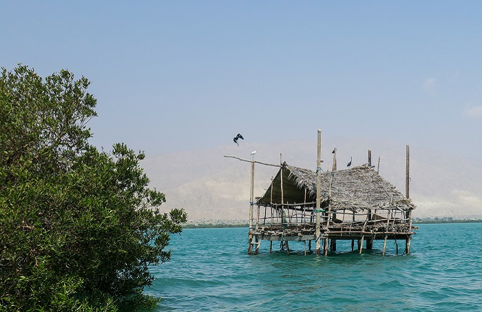 تصاویر تور بندر خمیر و کنگ (1)