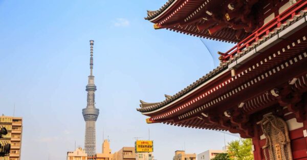 ویو اسکای تری از معبدی در آساکوسا