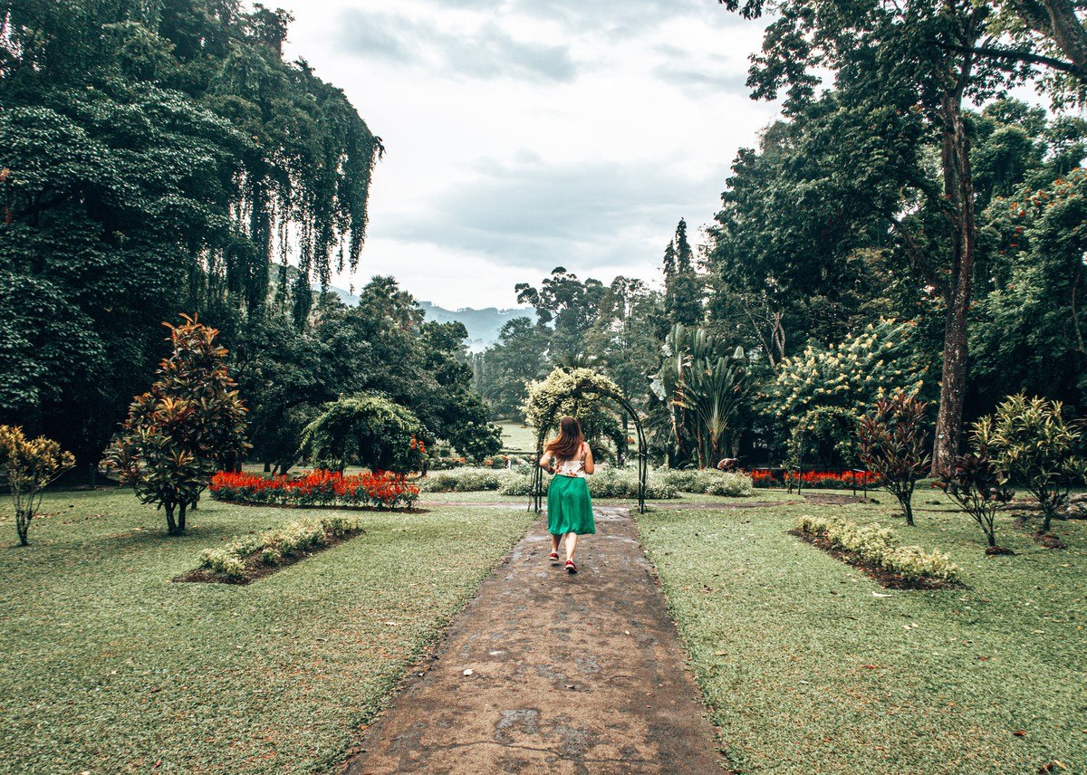 باغ گیاه شناسی پرادنیا در کندی سریلانکا