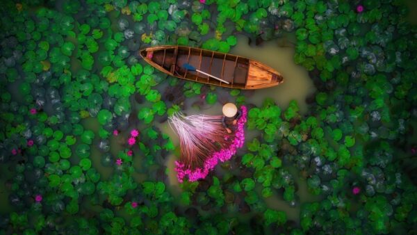 دلتای مکونگ و دیدنی های آن