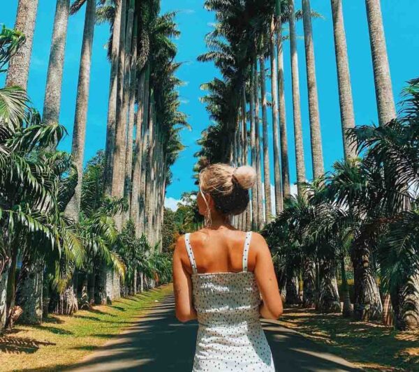 بوتانیکال گاردن های سریلانکا