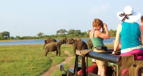 پارک های ملی سریلانکا