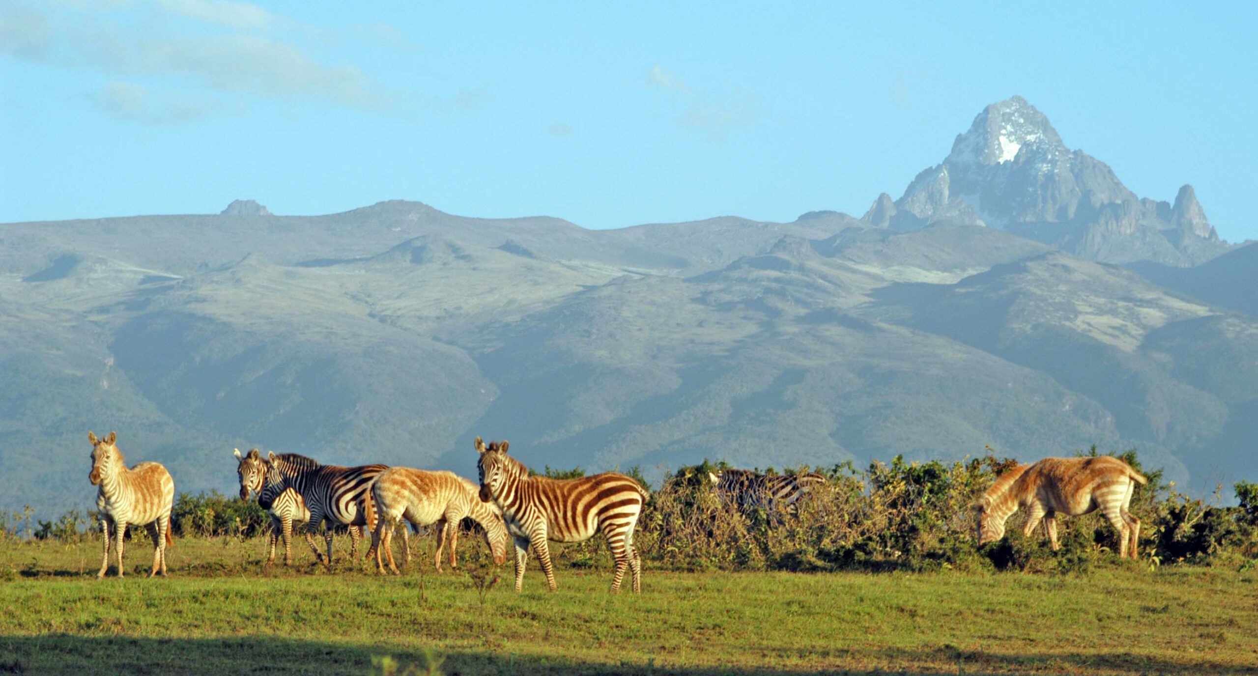 چشم انداز کوه کنیا از پارک ملی کوه کنیا