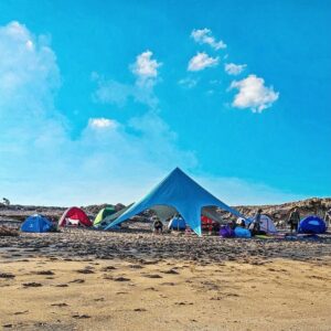 تور جزیره لارک و هرمز