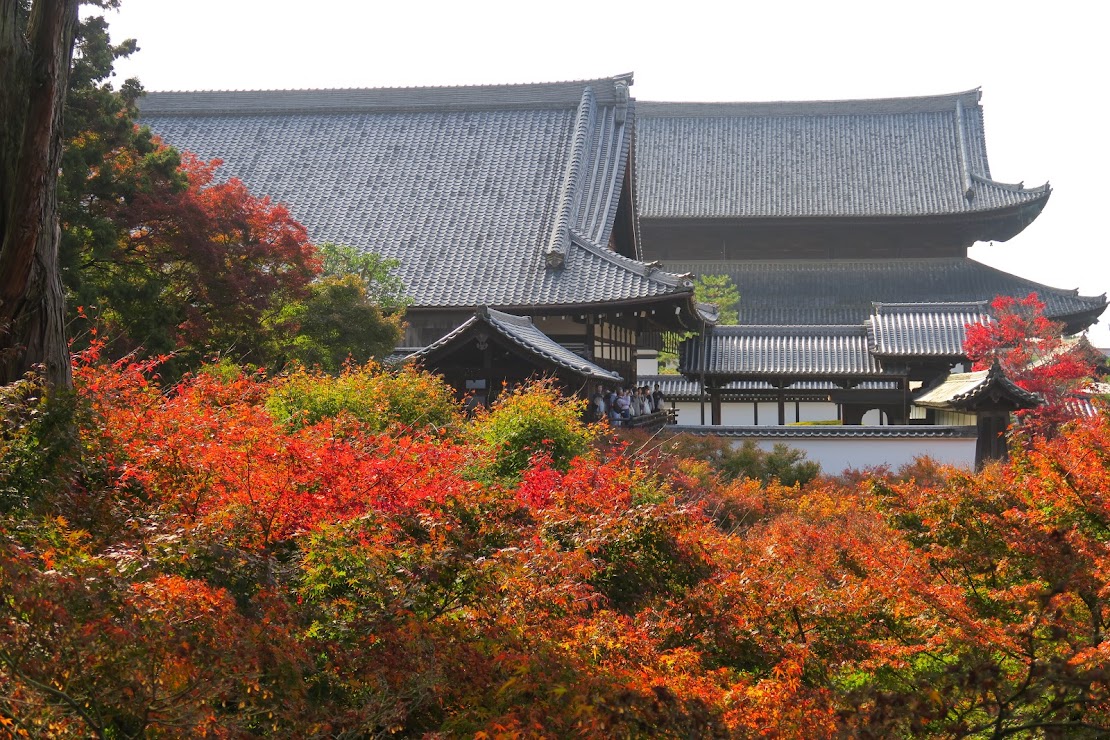 معبد توفوکجی در پاییز