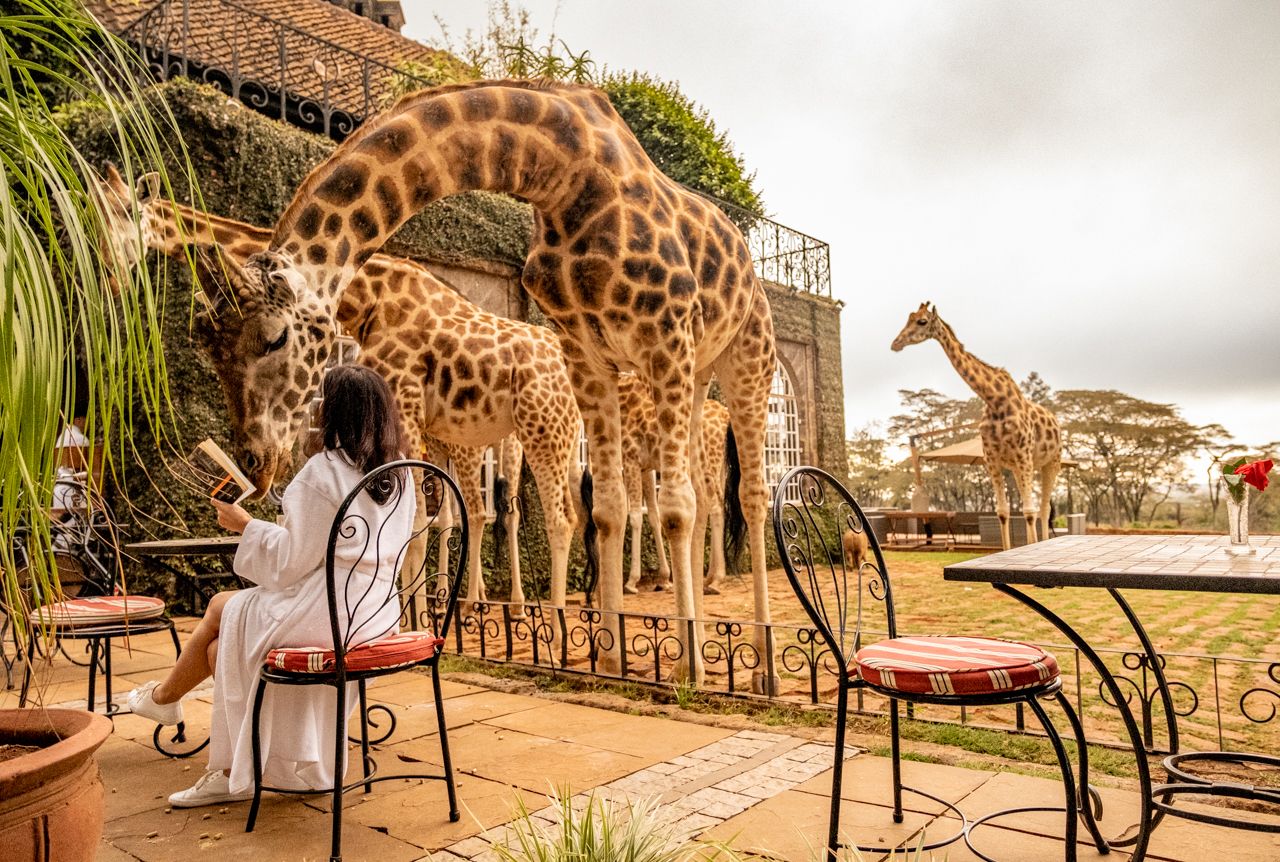 هتل زرافه ها در کنیا