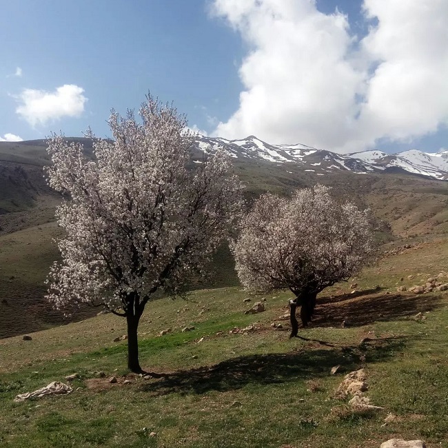 ترکینگ باباهور (3)