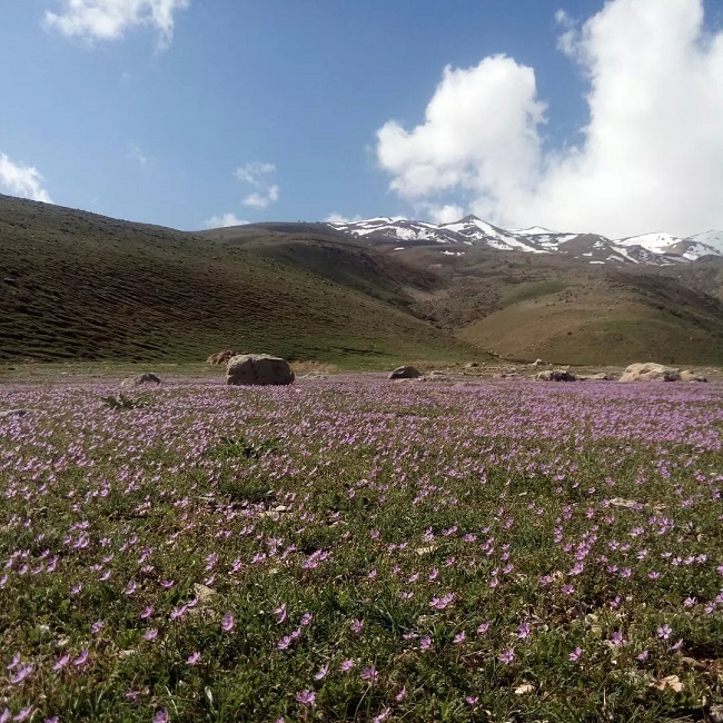 ترکینگ باباهور (2)