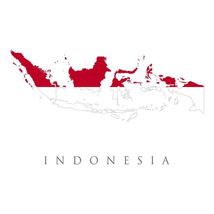 ویزا اندونزی
