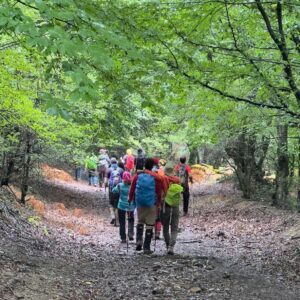 ترکینگ خلخال به اسالم (5)