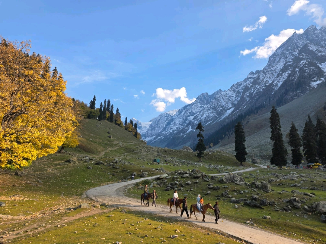 sonmarg Thajiwas Glacier