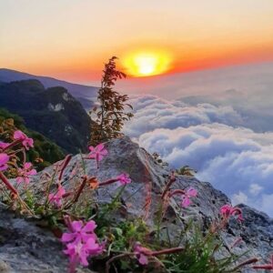 تور ییلاق جهان نما