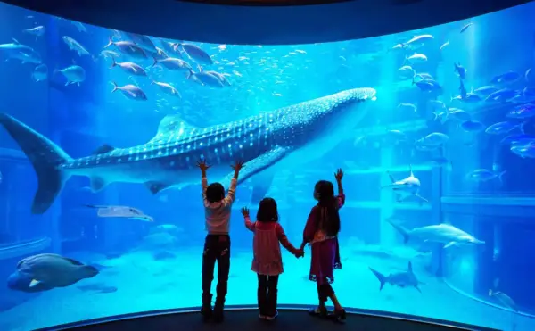 آکواریوم اوساکا