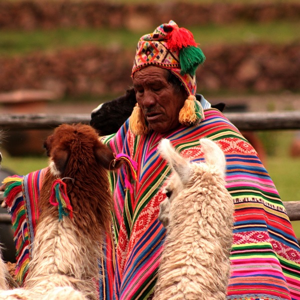 تصاویر تور پرو (8)