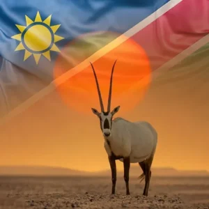 ویزای نامیبیا