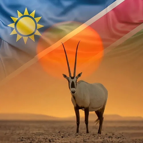 ویزای نامیبیا