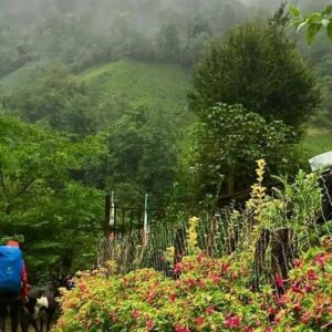 ترکینگ آب‌بر به فوشه