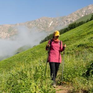 ترکینگ هنیز به عسل محله نارون