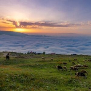 کمپینگ ییلاق مازیچال؛ بهشتی در آغوش ابرها