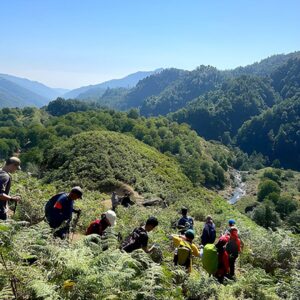 ترکینگ سوها به آبشار لوشکی