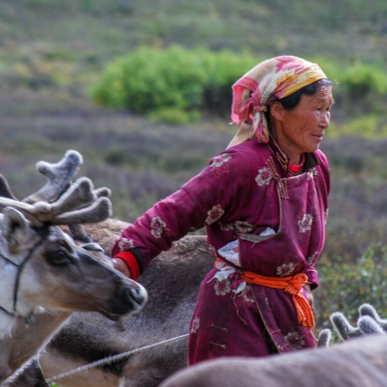 تصاویر تور مغولستان (8)