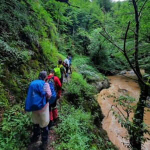 تور الماس به ویسادار