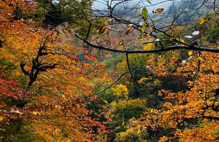 تصاویر ترکینگ خلخال به اسالم پاییزی (1)