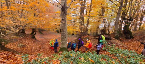 خلخال به اسالم پاییزی