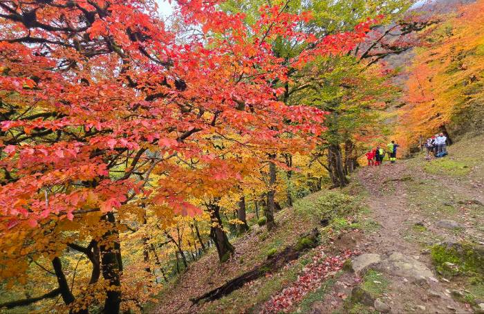 تصاویر ترکینگ خلخال به اسالم پاییزی (2)