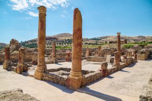 بولا رجیا تونس